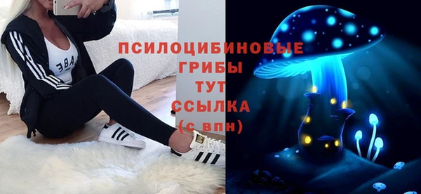 PSILOCYBIN Баксан