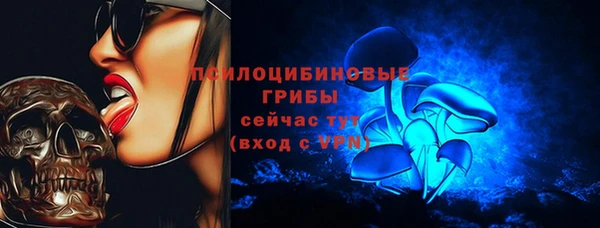 PSILOCYBIN Баксан