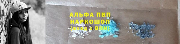 PSILOCYBIN Баксан