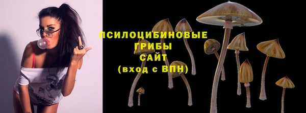 молекула духа Балабаново