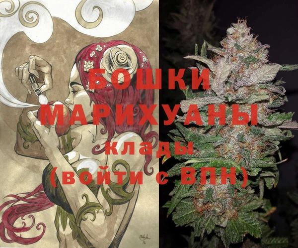 PSILOCYBIN Баксан